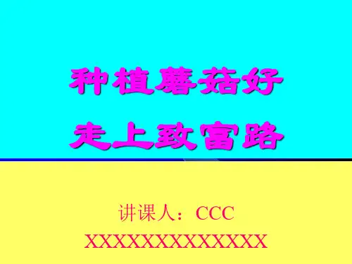 种植蘑菇好,走上致富路《双孢蘑菇》