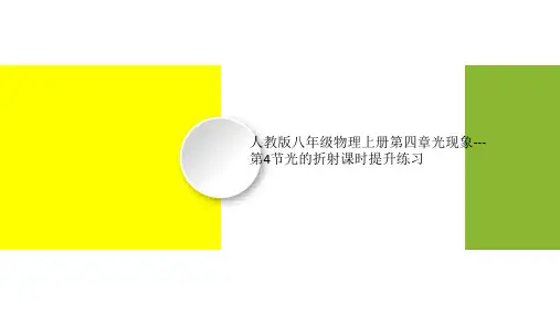 人教版八年级物理上册第四章光现象---第4节光的折射课时提升练习