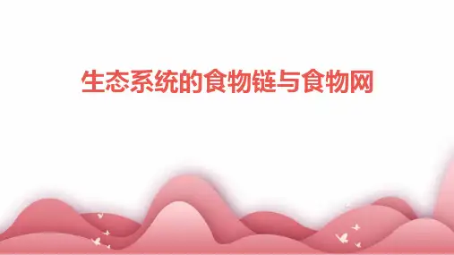 生态系统的食物链与食物网