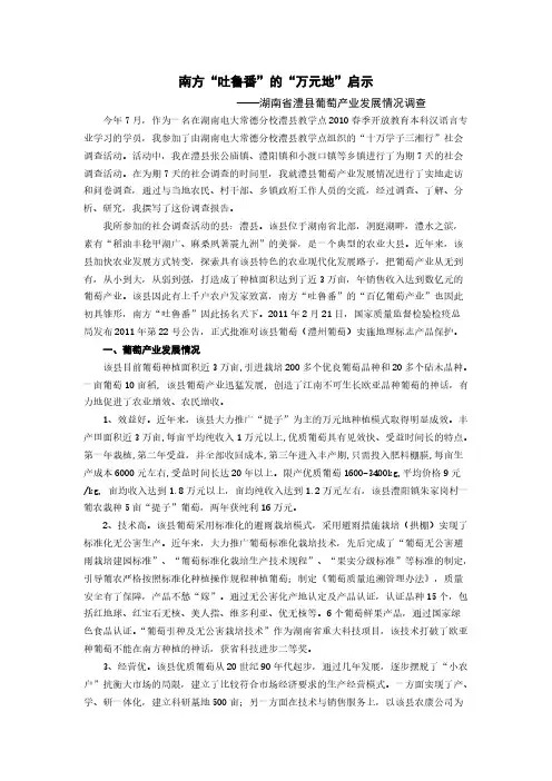 湖南澧县葡萄产业发展调查报告
