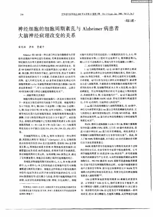 神经细胞的细胞周期紊乱与Alzheimer病患者大脑神经病理改变的关系