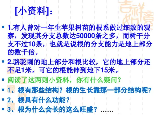 第二章第一节根的生长