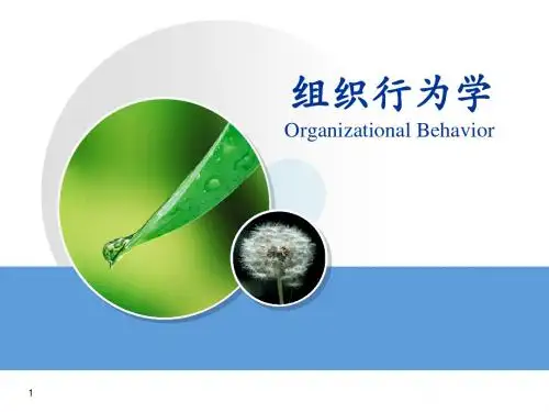 组织行为学导论