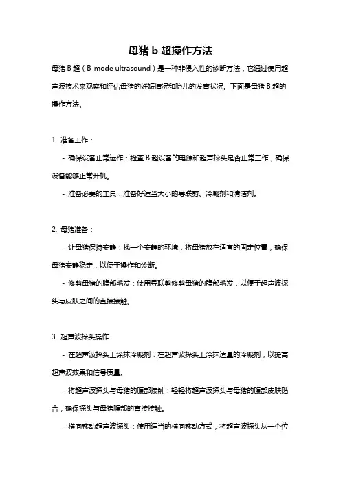 母猪b超操作方法