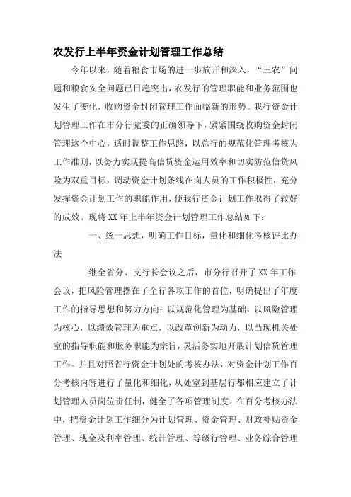 农发行上半年资金计划管理工作总结-2019年精选文档