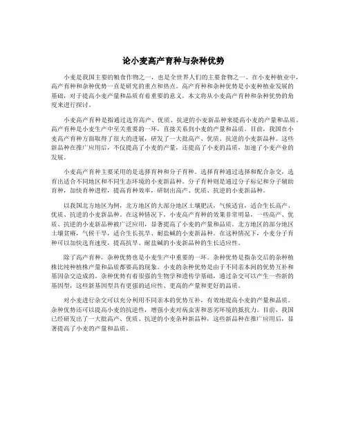 论小麦高产育种与杂种优势