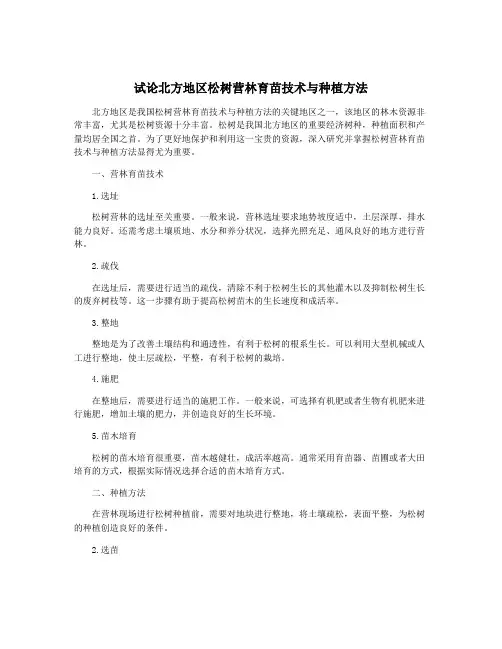 试论北方地区松树营林育苗技术与种植方法