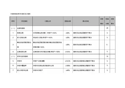 内部控制结果评价指标及分值表