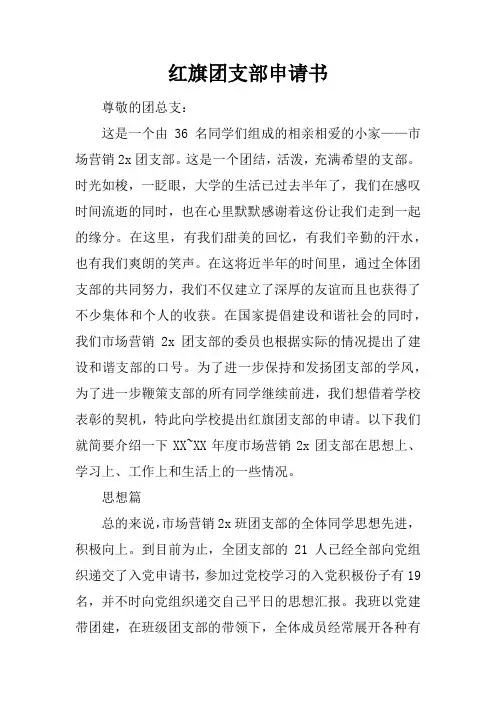 红旗团支部申请书_1