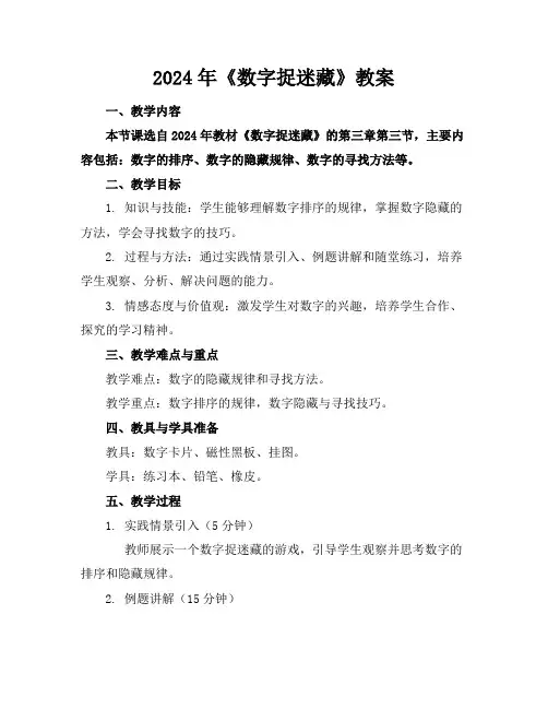 2024年《数字捉迷藏》教案