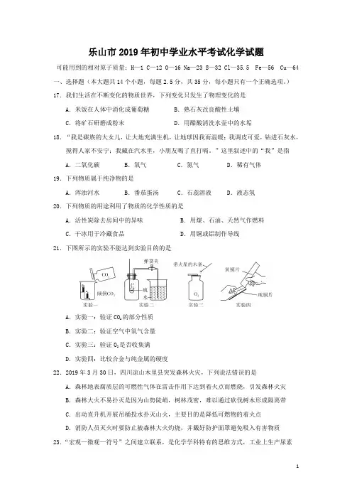 四川省乐山市2019年中考化学真题试题及答案(word版)