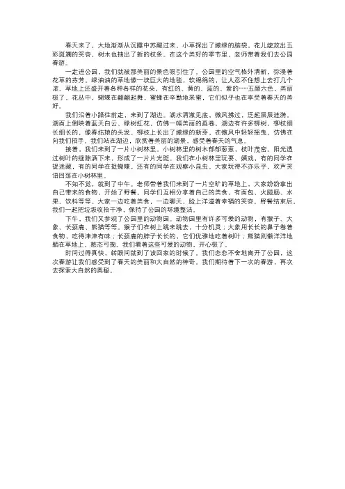 我在公园的春游