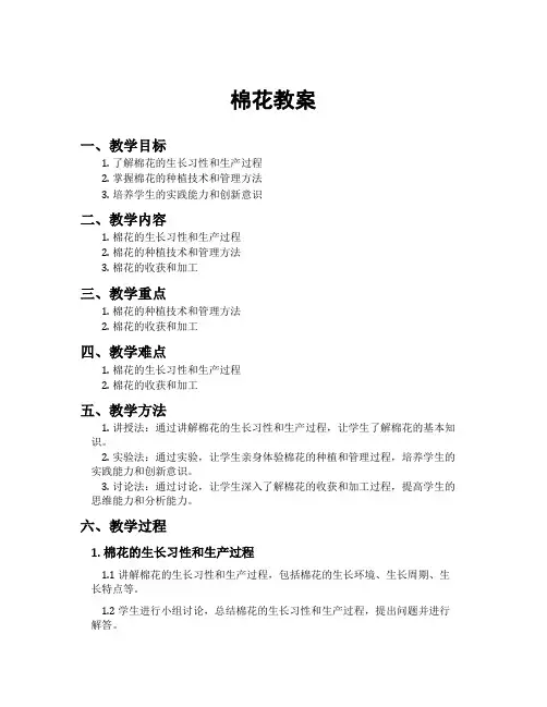 棉花教案[新]