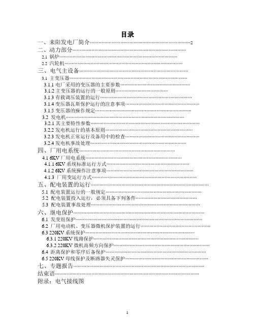 耒阳电厂实习报告