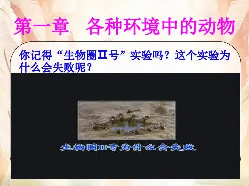 水中生活的动物PPT课件14 人教版