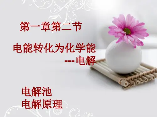 电解原理.ppt