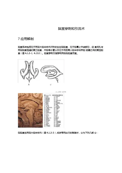 脑室穿刺引流术