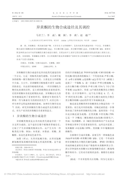 异黄酮的生物合成及其调控