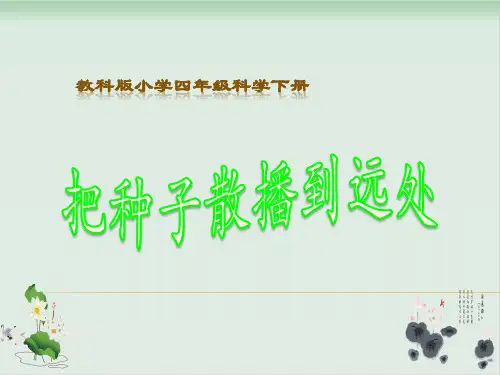四年级下册科学课件PPT：把种子散播到远处 - 教科版