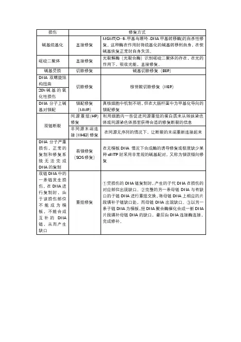 【生物化学与分子生物学】真核细胞DNA损伤及修复方式