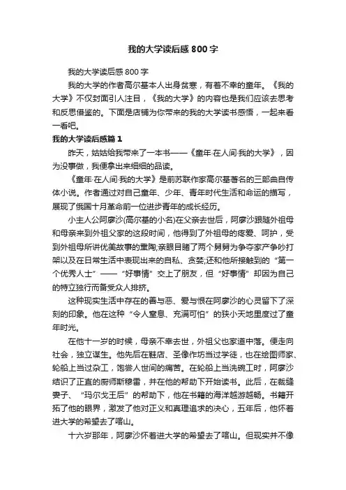 我的大学读后感800字
