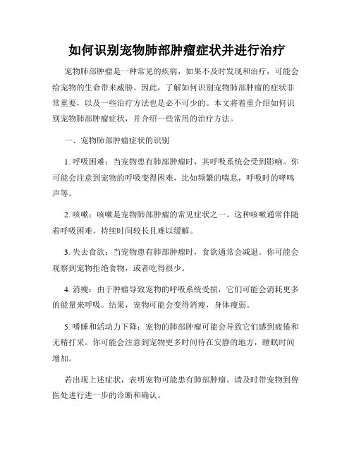 如何识别宠物肺部肿瘤症状并进行治疗