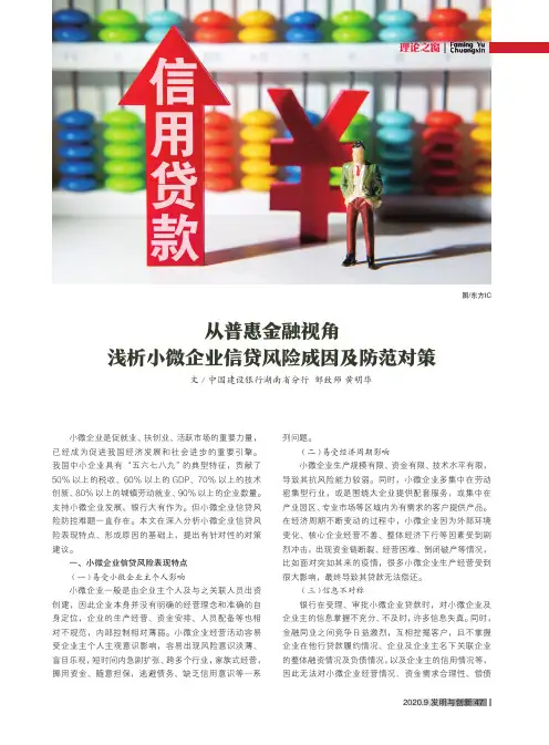 从普惠金融视角浅析小微企业信贷风险成因及防范对策