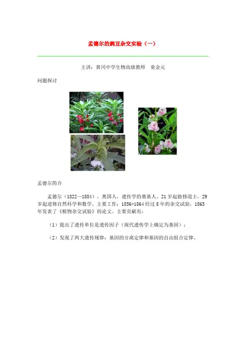 第一节 孟德尔的豌豆杂交实验(一)