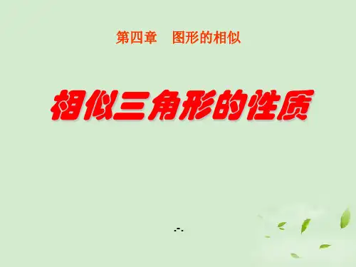 4.7 相似三角形的性质