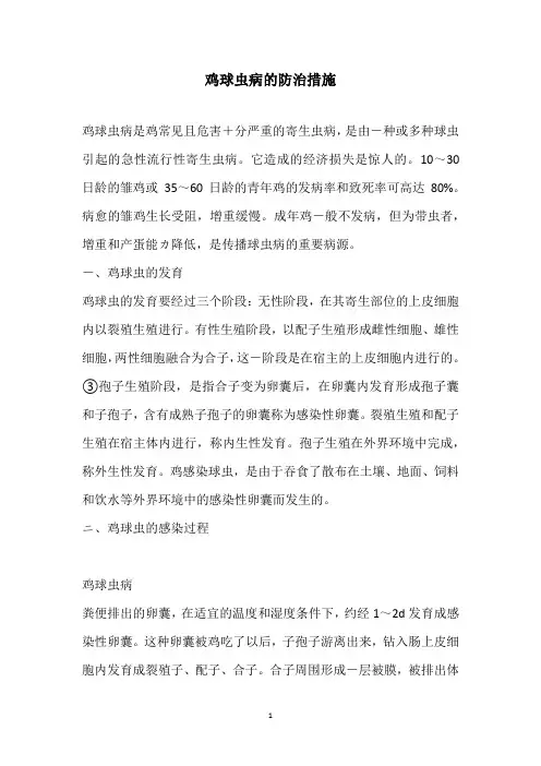 鸡球虫病的防治措施