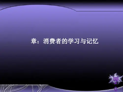 消费者的学习与记忆理论(ppt30张)