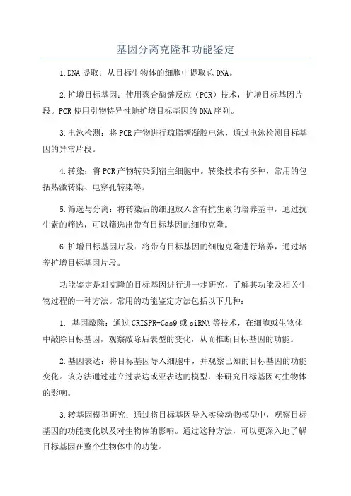 基因分离克隆和功能鉴定