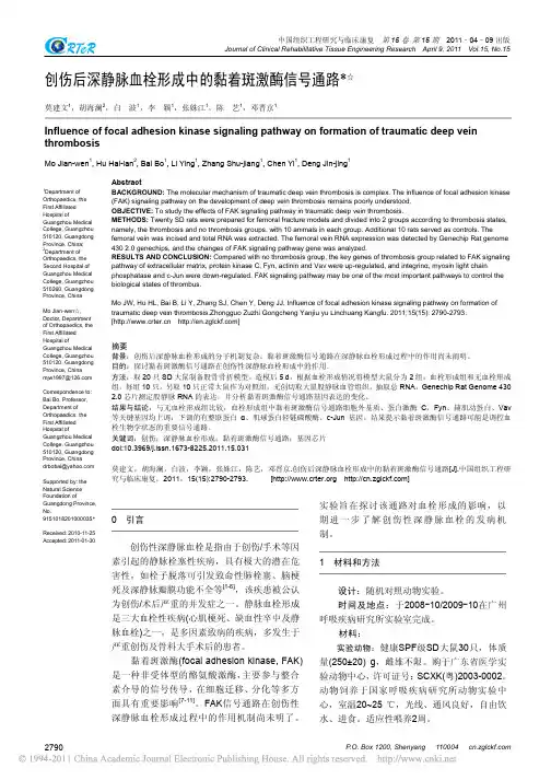 创伤后深静脉血栓形成中的黏着斑激酶信号通路