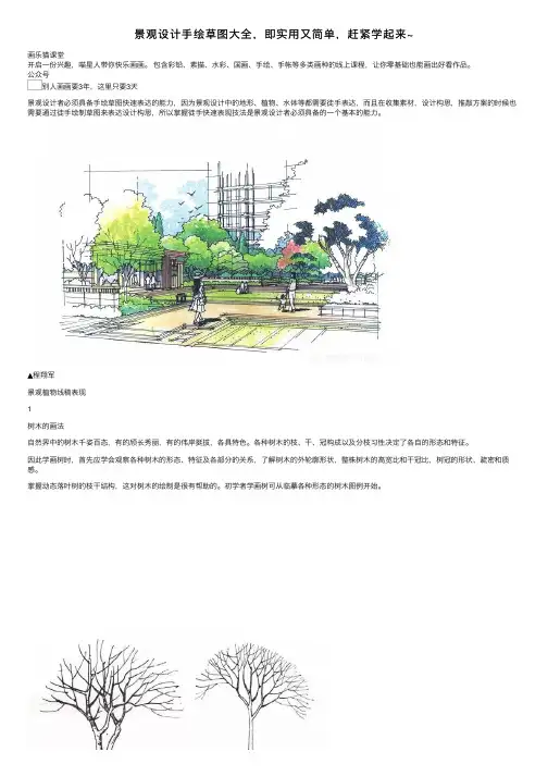 景观设计手绘草图大全，即实用又简单，赶紧学起来~