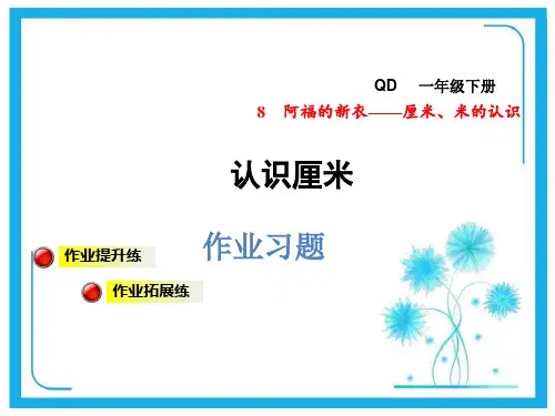 青岛版一年级下册数学课件-  认识厘米 (共7张PPT).pptx