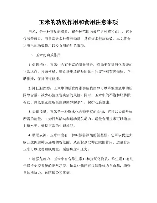 玉米的功效作用和食用注意事项