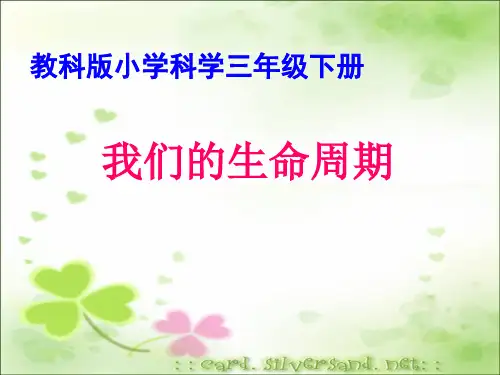 《我们的生命周期》教学课件