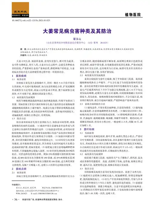 大姜常见病虫害种类及其防治