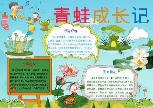 小学生小报：卡通青蛙成长记小报手抄报word模板