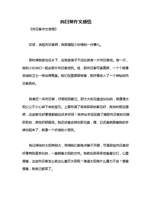 向日葵作文感悟