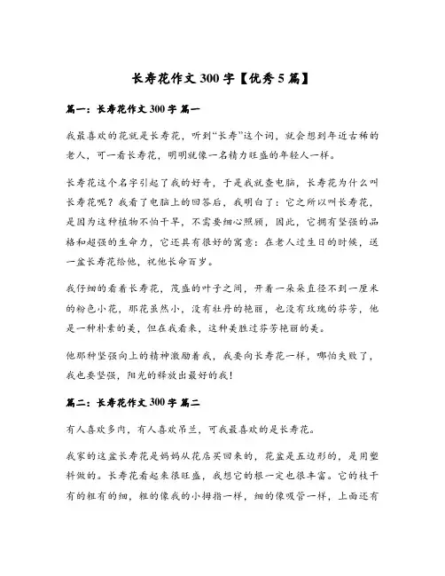 长寿花作文300字【优秀5篇】