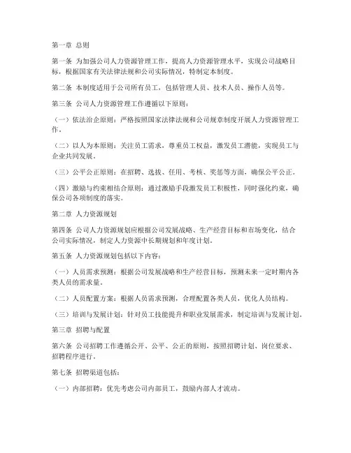电力公司人资体系管理制度