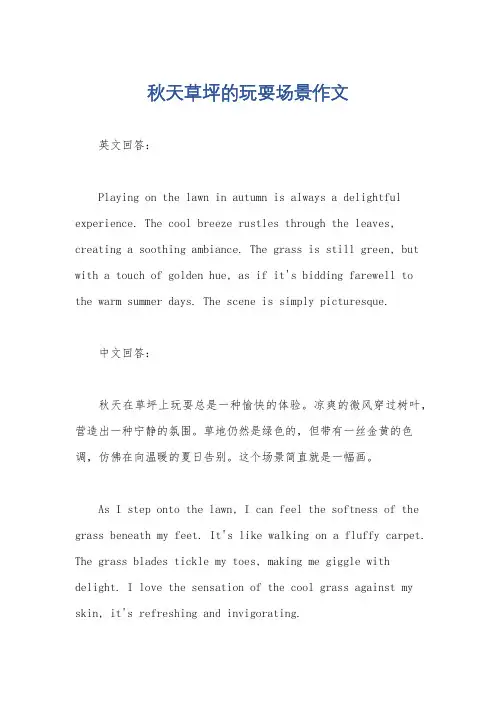 秋天草坪的玩耍场景作文