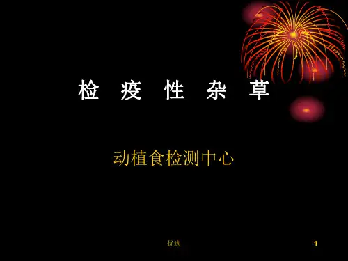 经典检疫性杂草简介.ppt
