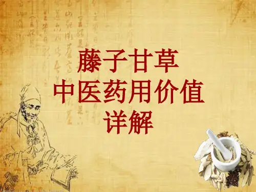 中药学_藤子甘草_药材详解课件模板