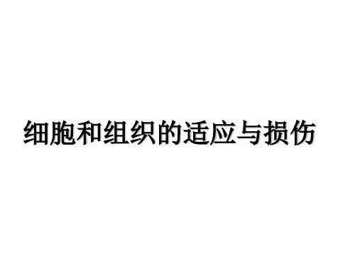 【病理学】细胞 组织损伤PPT
