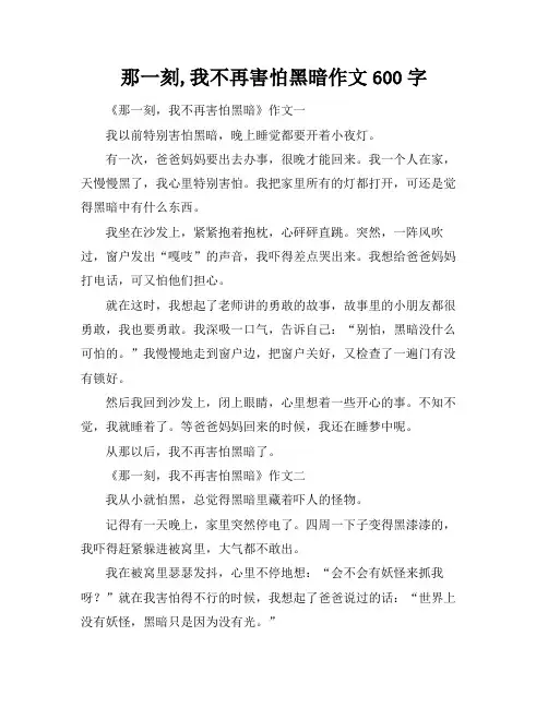 那一刻,我不再害怕黑暗作文600字