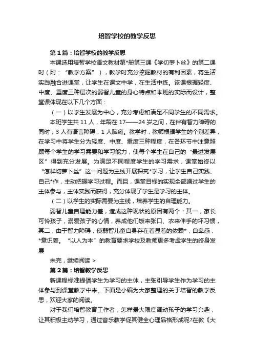 培智学校的教学反思