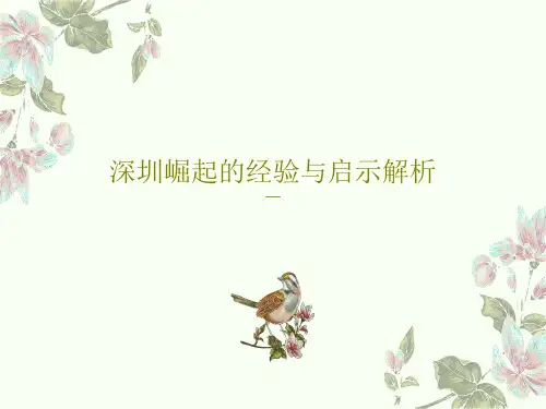 深圳崛起的经验与启示解析47页PPT