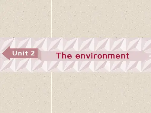 高考英语课件必修5 unit 2 the environment 